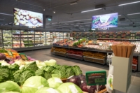 Article de Cactus Esch/Lallange