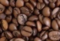 Article fromKnopes Artisan Torrefacteur