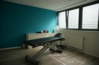 Article de Knoll Ilona