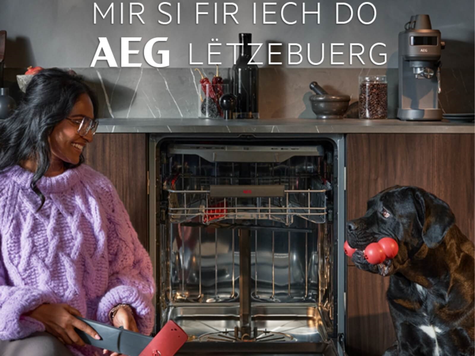 Electrolux Home Products Luxembourg