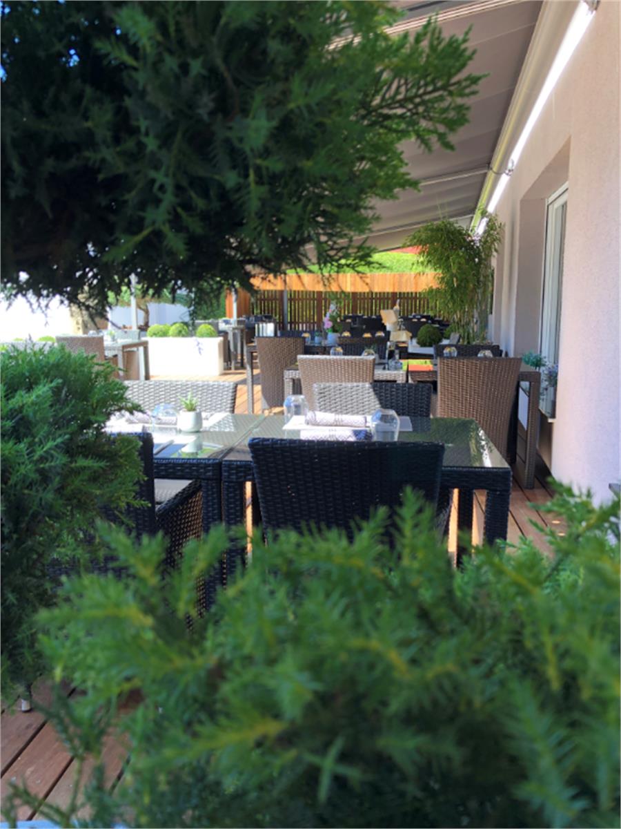 Restaurant Papaya
