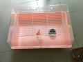 Cage pour hamster/souris