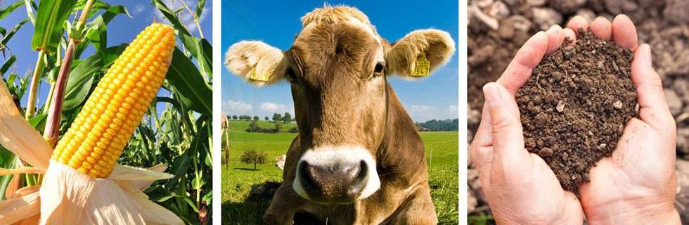 Image 1 - Raiffeisen-Wuere-Genossenschaft