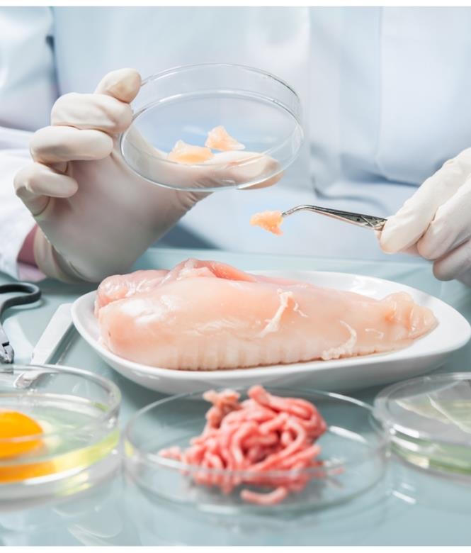 Hygiène alimentaire