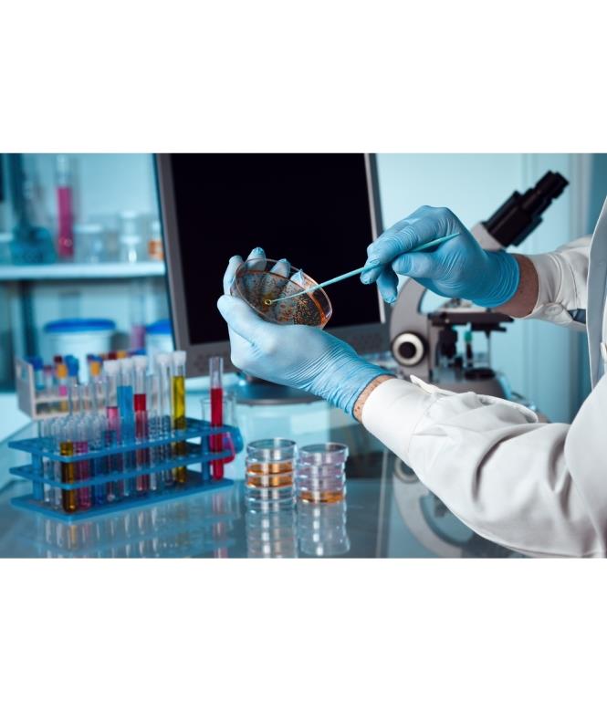 Prestations diverses