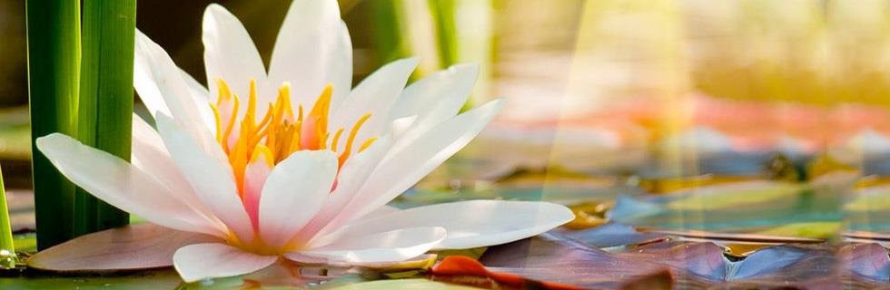 Image 1 - Psychothérapeute Flammang Christophe