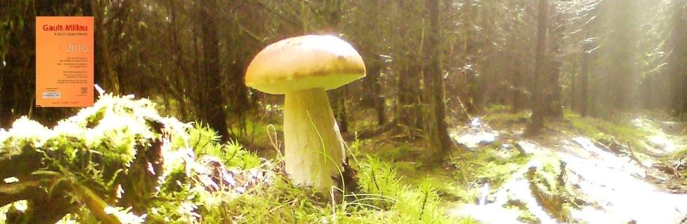 Image 1 - Délices de la Nature Image 1 - Délices de la Nature