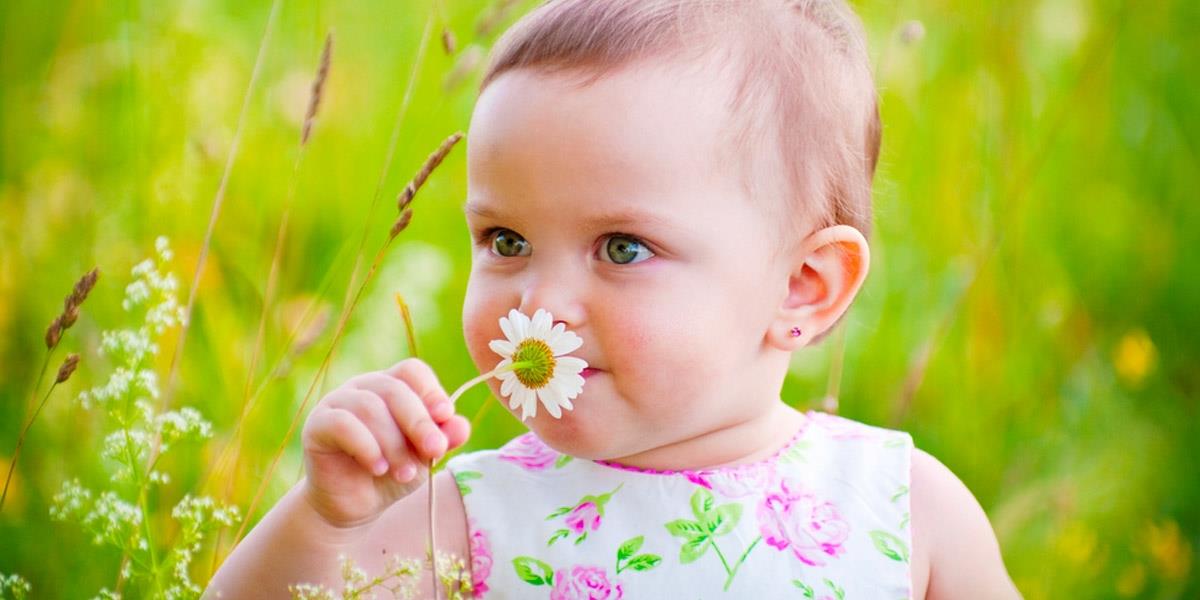 Image 1 - Garden Of Awakening - Le Jardin d'Eveil