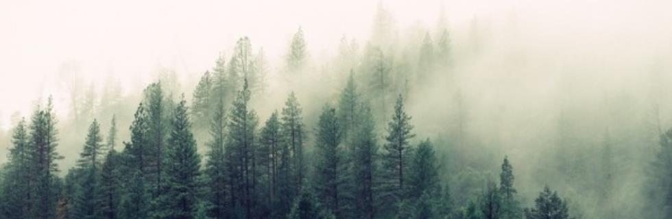 Image 3 - Godard Séverine