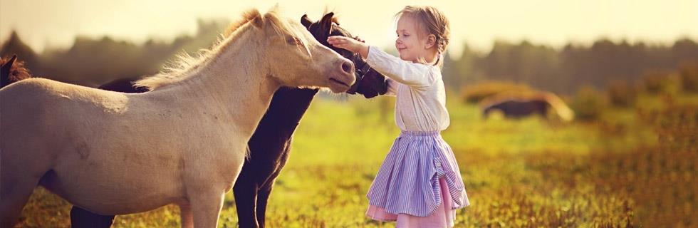 Image 1 - De Blummenhaff