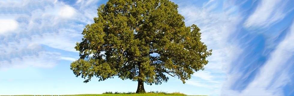 Image 1 - Tobias Astrid (Kinésiologue)