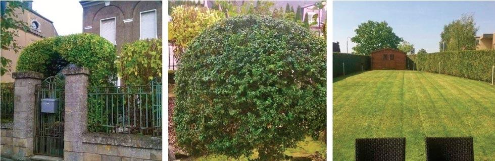 Image 2 - Bricojardin - Hugo Rafael