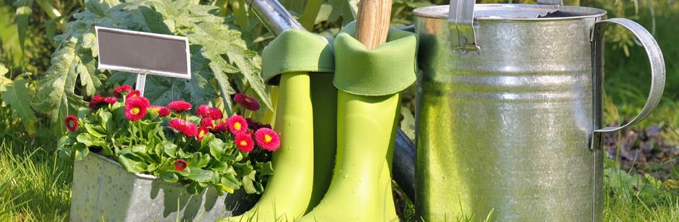 Fleurs et plantes extérieures