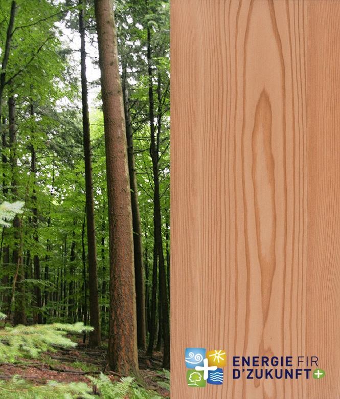 Image 1 - Holzbau Neuman Henri