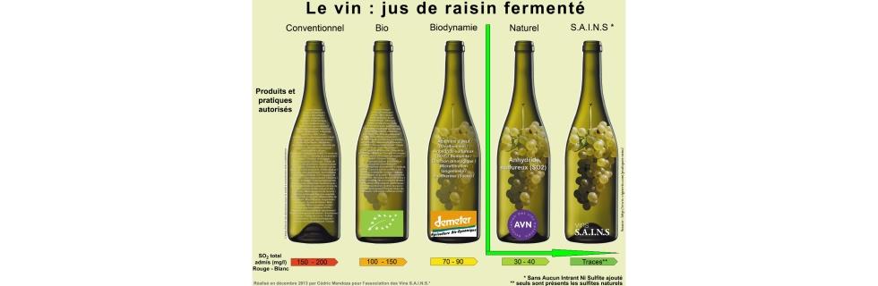 Vin Naturel - Vin Naturel