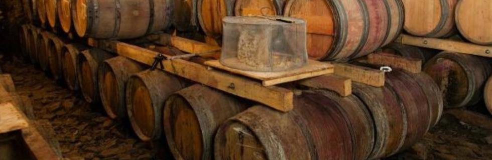 Vins Divins chai barral