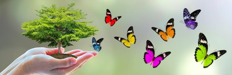 Image 1 - Manternach Ingrid