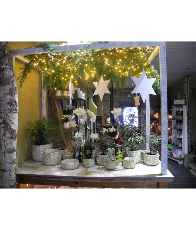 Image 9 - Fleurs Floristik Atelier