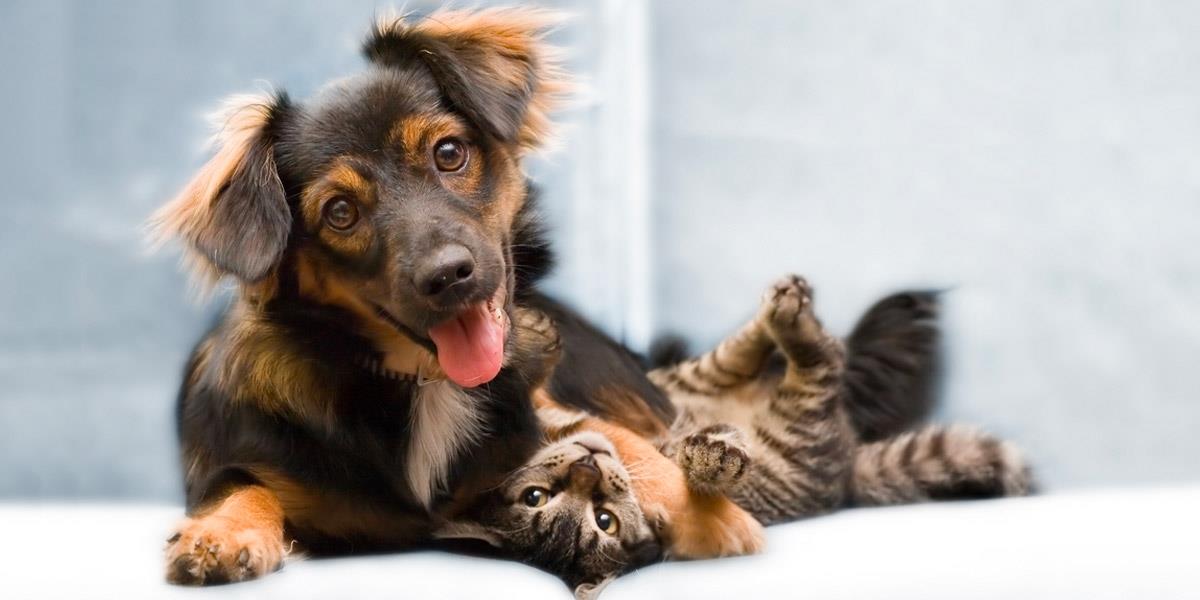 Image 1 - Christnach-Jungblut