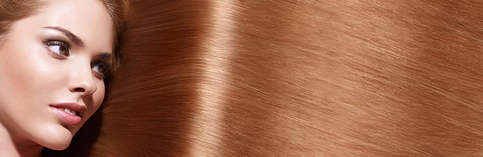 Image 2 - Beim Solange Schroeder