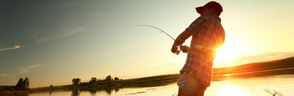 Image 1 - Fishing World