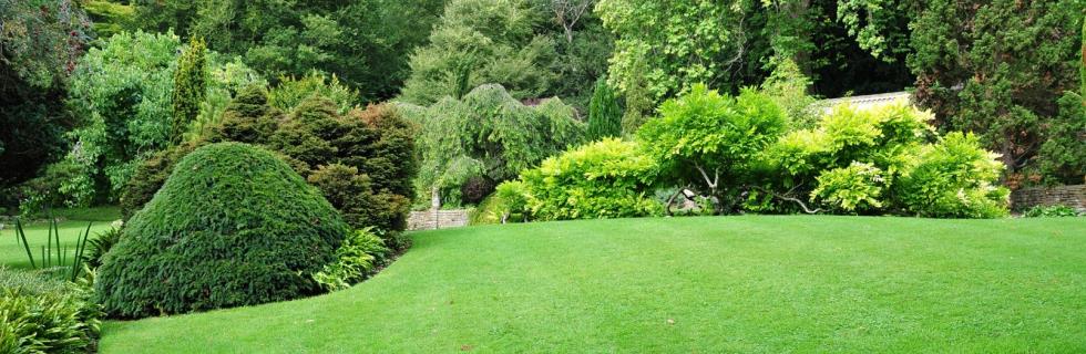 Aménagements de jardins