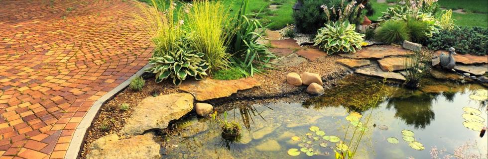 Aménagements d'étang