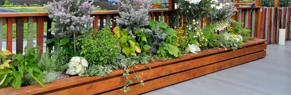 Aménagements de terrasses