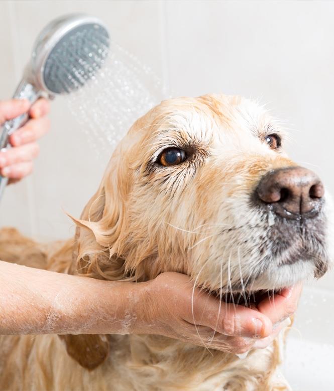 Image 1 - Muppestuff Beim Cindy