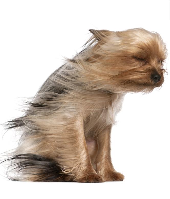 Image 3 - Muppestuff Beim Cindy