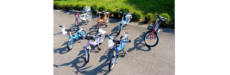 Image 4 - Holzhaischen