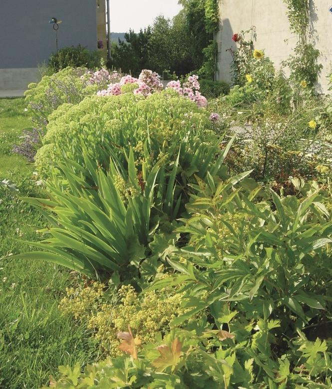 Image 3 - Lamouroux Alain