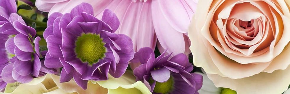 Image 1 - Fleurs Fr. Stemper