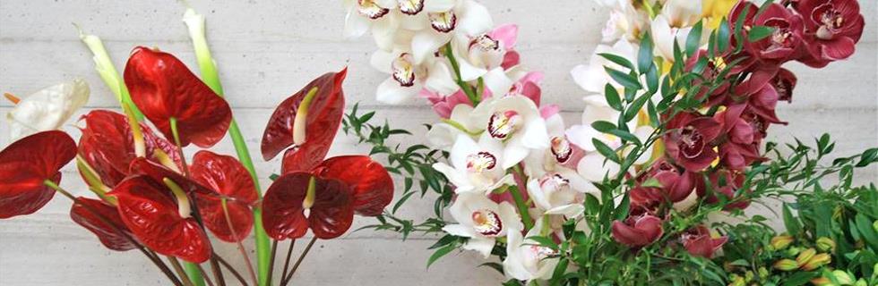 Image 1 - Fleurs François Klopp