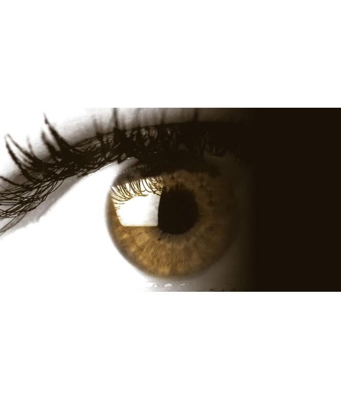 Image 5 - Optique Rodenbourg